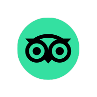 Asset 31